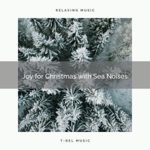 Joy for Christmas with Sea Noises - Ocean Sounds