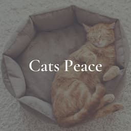 Cats Peace - Music for Cats Peace