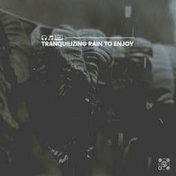 Tranquilizing Rain to Enjoy - Loopable Rain Sounds