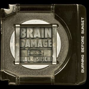 Burning Before Sunset - Brain Damage