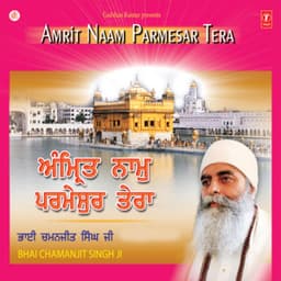 Amrit Naam Parmesar Tera - Bhai Chamanjit Singh Ji