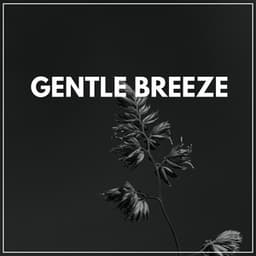 Gentle Breeze - Organic Sound
