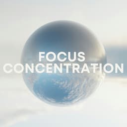 Focus Concentration - Concentration Help