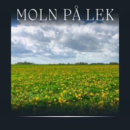 Moln på Lek - Naturljud
