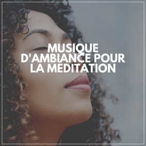 Musique D'ambiance Pour LA Méditation - Les Voies de la Relaxation