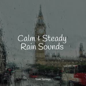 50 Rain Sounds for Meditation and Sleep - Naturaleza Relajacion