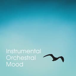 Instrumental Orchestral Mood - Relaxation Study Music