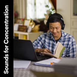 Sounds for Concentration - Exam Study