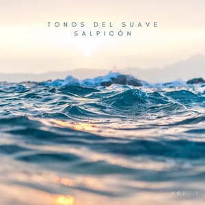 Tonos Del Suave Salpicón Vol. 1 - Meditación Con Ruido Blanco
