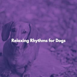 Relaxing Rhythms for Dogs - Popular Jazz Coffee Break