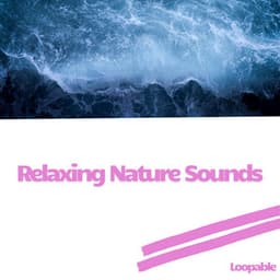 Relaxing Nature Sounds: Ocean and Pink Noise, Loopable - Pink Noise