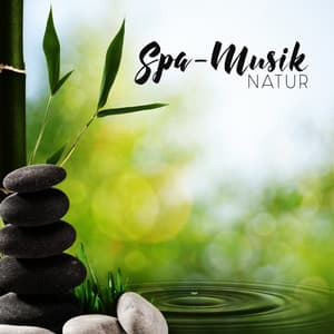 Spa-Musik: Natur. Beruhigende New-Age-Musik mit Naturgeräuschen für Spa und Wellness, Entgiften Sie Ihren Körper und entspannen Sie Ihren Geist - Entspannende SPA Musik Zone