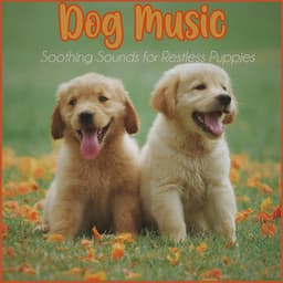 Dog Music: Soothing Sounds for Restless Puppies - Relaxmydog