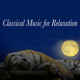 Classical Music for Relaxation: Piano Music - Giovanni Umberto Battel