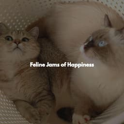 Feline Jams of Happiness - Restaurant Music Lounge