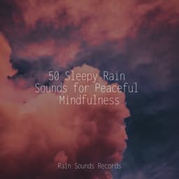 50 Sleepy Rain Sounds for Peaceful Mindfulness - Anxiety Relief
