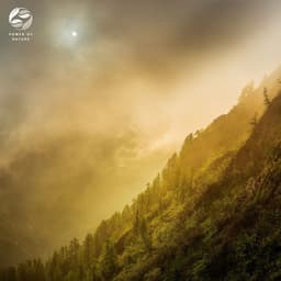 Mystical Piano - Tamera