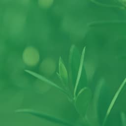 Music for Devoted Inspiration - Funky No Drums Jazz - Vintage Cafe Playlist