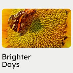 Brighter Days - Cinematic Classical