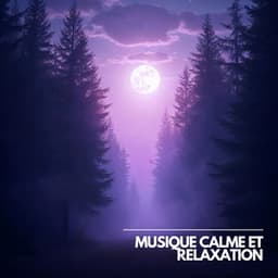 Un Soupir de Paix dans le Temps Suspendu - Musique Calme et Relaxation