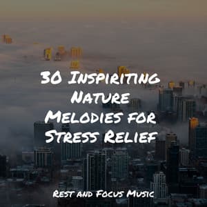 30 Inspiriting Nature Melodies for Stress Relief - Deep Focus