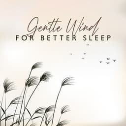 Gentle Wind for Better Sleep: Relaxing Sounds of Nature to Fall Asleep Fast - Sound of Nature Library