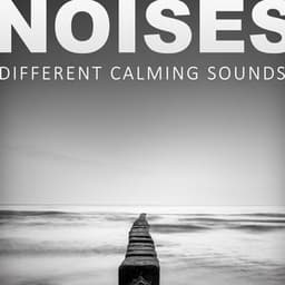 Noises - Different Calming Sounds, Grey & White Ambient Shades of Nature, Machine & Weather Noise, Natural Healing Collection - Natural Sounds Music Academy