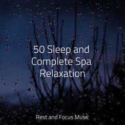 50 Sleep and Complete Spa Relaxation - Oasis de Détente et Relaxation