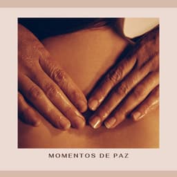 Momentos de Paz - Musica Zen Guru