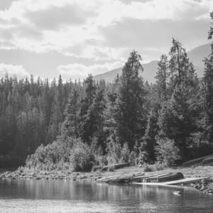 Music for Mental Health - Trumpet Jazz - Jazz Sax Relax