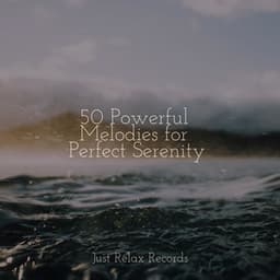 50 Powerful Melodies for Perfect Serenity - MÚSICA PARA NIÑOS