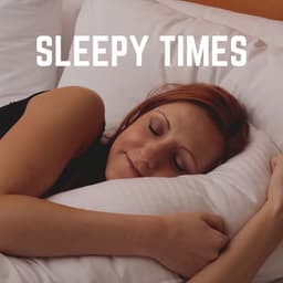 Sleepy Times - The Sleep Principle