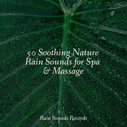 50 Soothing Nature Rain Sounds for Spa & Massage - Forest Sounds