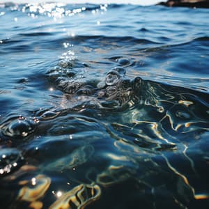 Ensamble Meditativo Del Río: Balada Zen Del Agua - Siente la naturaleza