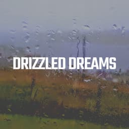 Drizzled Dreams - Raindrops Sleep