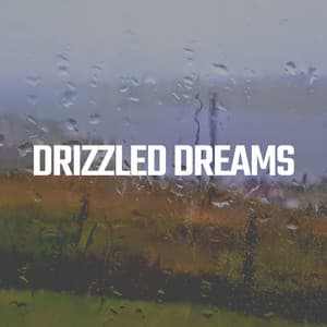 Drizzled Dreams - Raindrops Sleep