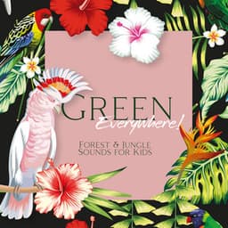Green Everywhere! Forest & Jungle Sounds for Kids - Exotic Nature Kingdom