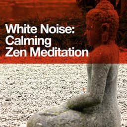 White Noise: Calming Zen Meditation - White Noise Masters