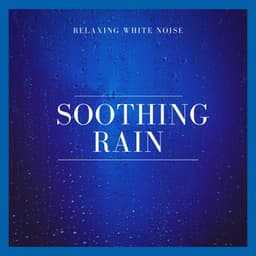 Relaxing White Noise: Soothing Rain - Background Noise From TraxLab