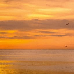 0 Hour Zen: Coastal Calm Crescendo - Ocean Sounds