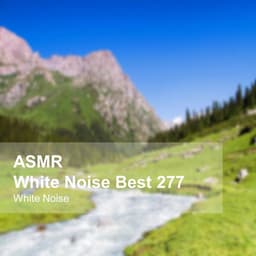 White Noise ASMR Best 277 - White Noise