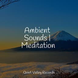 Ambient Sounds | Meditation - Especialistas de Musica para Dormir
