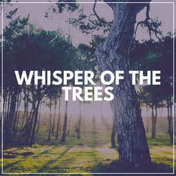 Whisper of the Trees - Calm Music