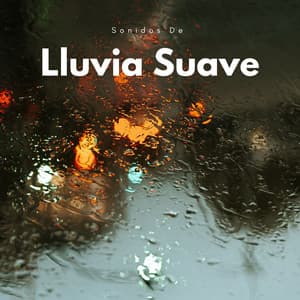 Sonidos De Lluvia Suave - Sonidos de lluvia pesada