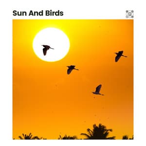 Sun and Birds - Bird Sounds