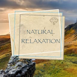 Natural Relaxation - Relaxing Spirit