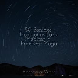 50 Sonidos Tranquilos Para Meditar Y Practicar Yoga - Instrumental