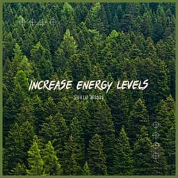 Increase Energy Levels - Everlight