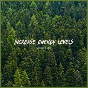 Increase Energy Levels - Everlight