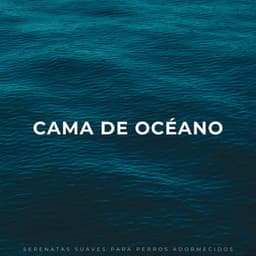 Cama De Océano: Serenatas Suaves Para Perros Adormecidos - Sonidos de las olas del océano Pacífico